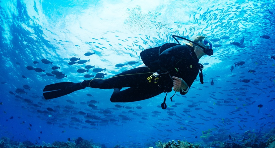 Andaman Scuba Diving